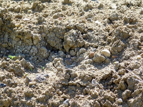 earth texture