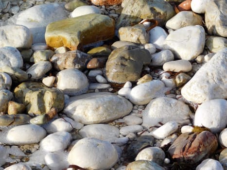 sea pebbles