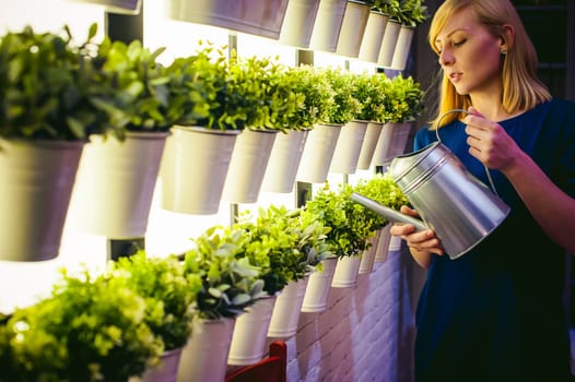 Woman pours from a watering green plants in pots in the room, hanging from the wall with lighting in a row. beautiful girl holding a watering can with water