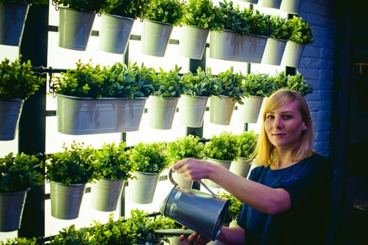 Woman pours from a watering green plants in pots in the room, hanging from the wall with lighting in a row. beautiful girl holding a watering can with water