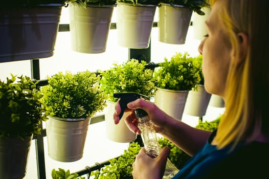 Woman pours from a watering green plants in pots in the room, hanging from the wall with lighting in a row. beautiful girl holding a watering can with water