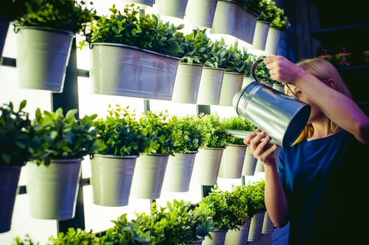 Woman pours from a watering green plants in pots in the room, hanging from the wall with lighting in a row. beautiful girl holding a watering can with water