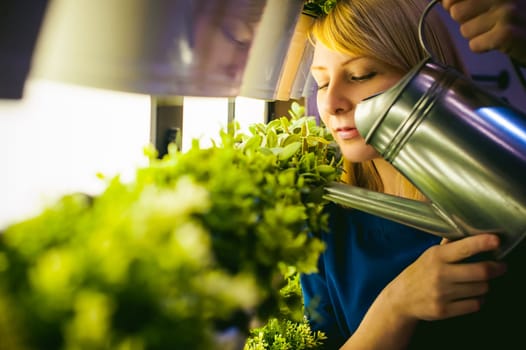 Woman pours from a watering green plants in pots in the room, hanging from the wall with lighting in a row. beautiful girl holding a watering can with water