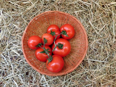 tomato
