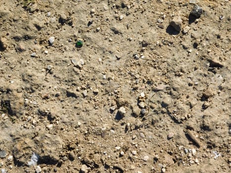 earth texture