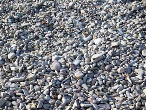 sea pebbles