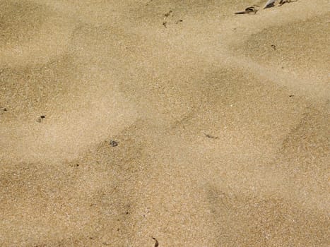 sand texture