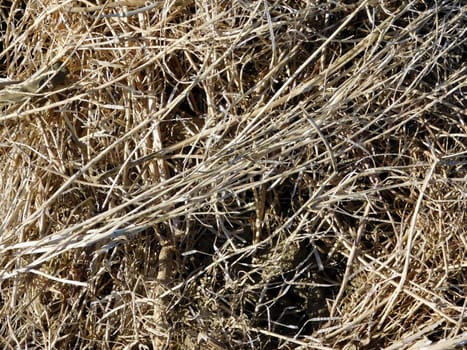 straw texture