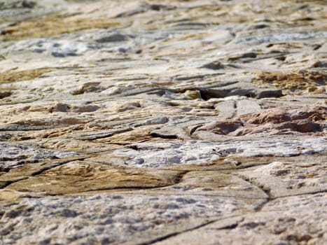 stone texture