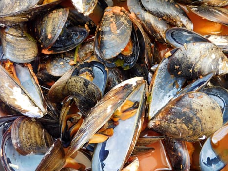 texture of mussels