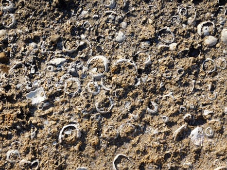 stone texture