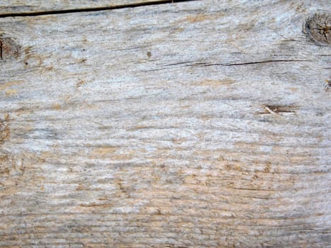 wood texture