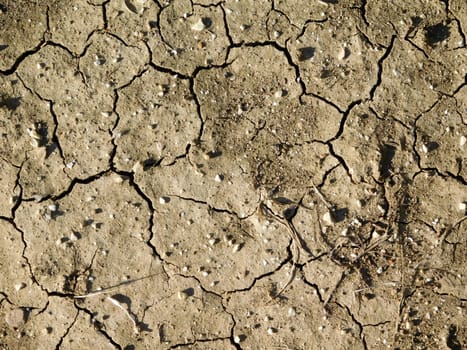 dry land texture