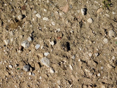 earth texture