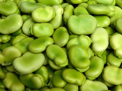 broad bean