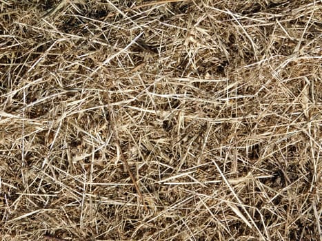 straw texture