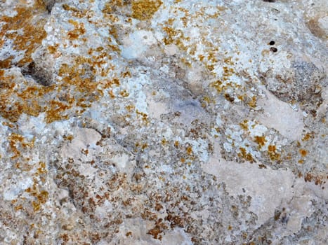 stone texture