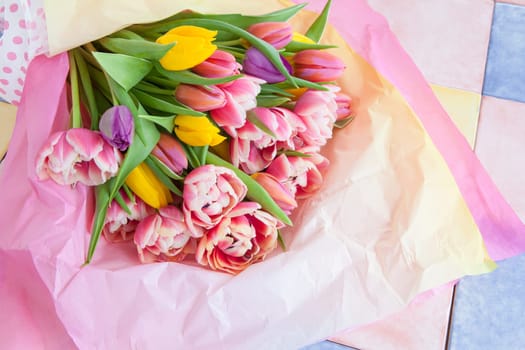 Fresh colorful tulips in tissue paper