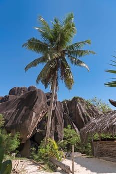Beach Anse Source d'Argent with granite rocks,La Digue,Seychelles,Indian Ocean,Africa