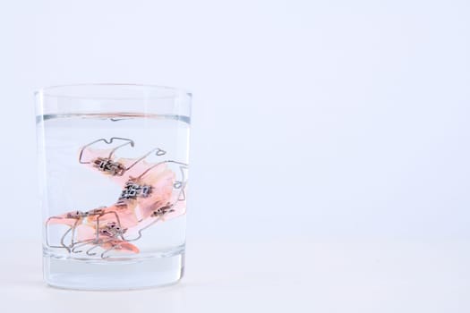braces in water glass in front of white background