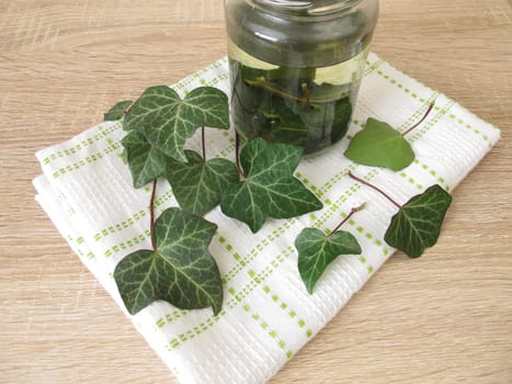 Detergent or detergent from ivy leaves