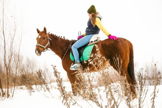 Woman in winter clothes is riding on a horse on a background of white snow.