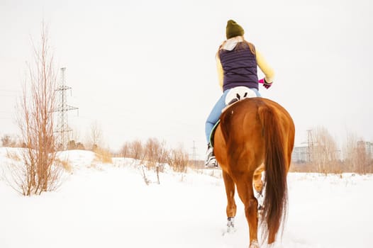 Woman in winter clothes is riding on a horse on a background of white snow.