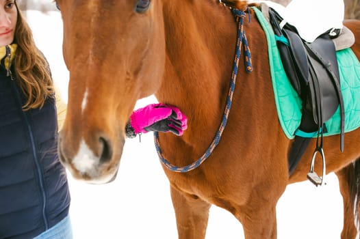 Woman in winter clothes and the horse stand together against the white snow. love and care for horses. animal portrait on a white background.