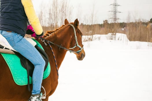 Woman in winter clothes is riding on a horse on a background of white snow.