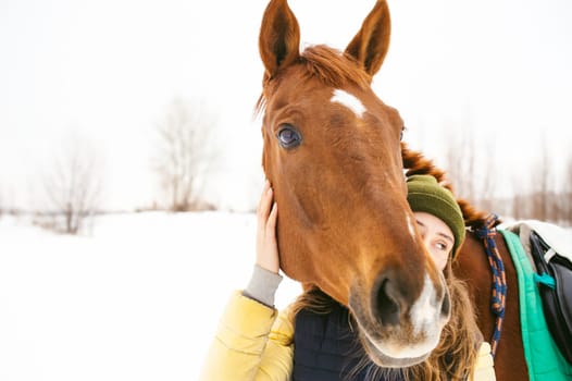 Woman in winter clothes and the horse stand together against the white snow. love and care for horses. animal portrait on a white background.