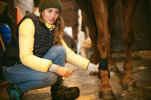 young woman rider engaged since a horse in the stables, prepare for departure