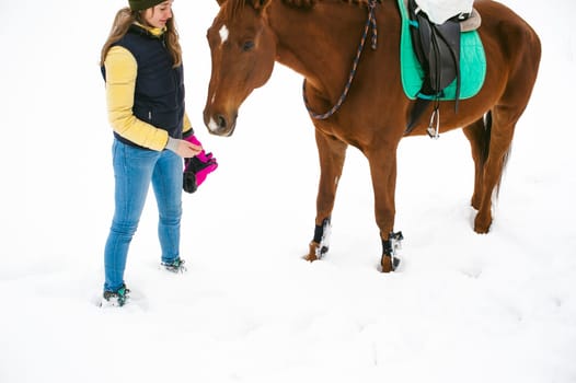 Woman in winter clothes and the horse stand together against the white snow. love and care for horses. animal portrait on a white background.