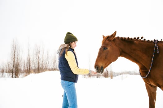 Woman in winter clothes and the horse stand together against the white snow. love and care for horses. animal portrait on a white background.