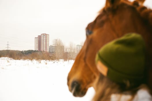 Woman in winter clothes and the horse stand together against the white snow, looking into the distance in the city homes. love and care for horses
