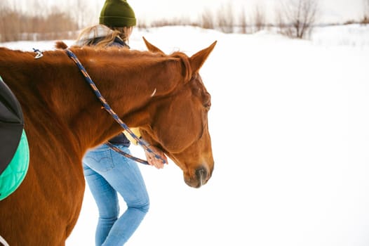 Female rider and horse in the open air. portrait of a beautiful young woman with her stallion, outdoors in winter. Girl leads the animal beside him