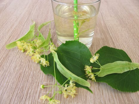 Homemade lemonade with fresh lime blossoms