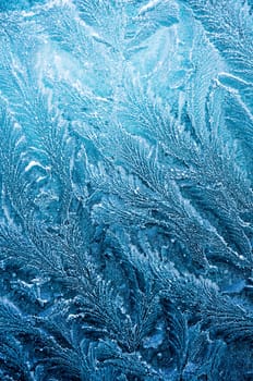 Iceflowers, frozen.The ice-cold frost forms ice crystals in beautiful unique patterns