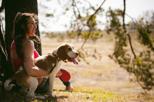 Young pet dog breeds beagle walking in park outdoors. woman carefully walks puppy, plays and tranitsiruetsya, sits with pet in an embrace under tree on grass in woods in clearing