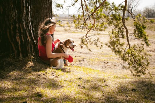Young pet dog breeds beagle walking in park outdoors. woman carefully walks puppy, plays and tranitsiruetsya, sits with pet in an embrace under tree on grass in woods in clearing