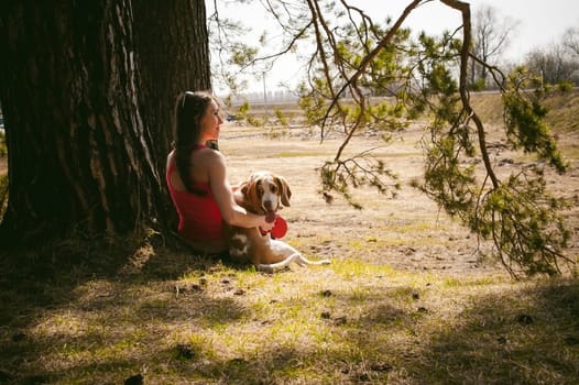Young pet dog breeds beagle walking in park outdoors. woman carefully walks puppy, plays and tranitsiruetsya, sits with pet in an embrace under tree on grass in woods in clearing