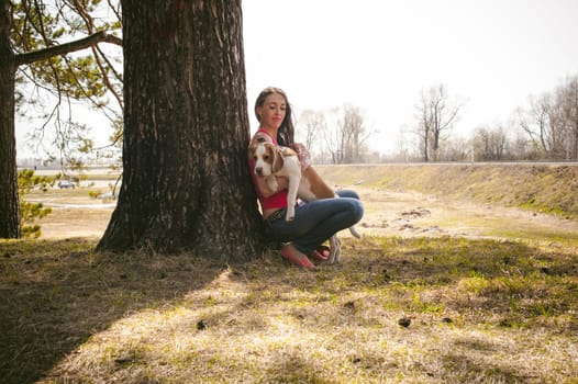 Young pet dog breeds beagle walking in park outdoors. woman carefully walks puppy, plays and tranitsiruetsya, sits with pet in an embrace under tree on grass in woods in clearing
