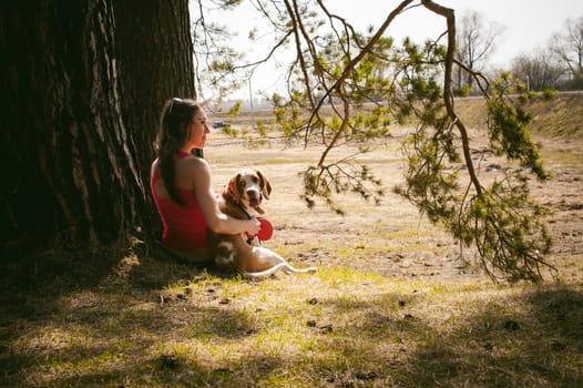 Young pet dog breeds beagle walking in park outdoors. woman carefully walks puppy, plays and tranitsiruetsya, sits with pet in an embrace under tree on grass in woods in clearing