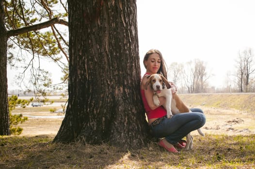 Young pet dog breeds beagle walking in park outdoors. woman carefully walks puppy, plays and tranitsiruetsya, sits with pet in an embrace under tree on grass in woods in clearing