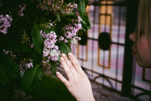 female fingers hold white butterflies on flowers of lilac and green leaves