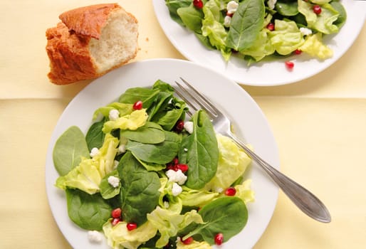 Spinach and Bibb lettuce with goat cheese and pomegranate seeds