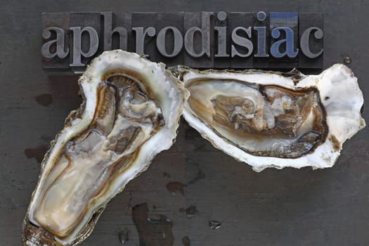 Two fresh oysters on the half shell with the word aphrodisiac in metal type on a dark background