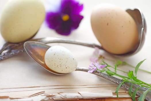 old spoons and ladle with speckled eggs and spring flowers on old document pages