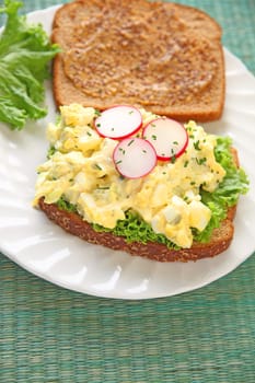 Creamy egg salad with radishes and chives on whole wheat bread spread with deli mustard