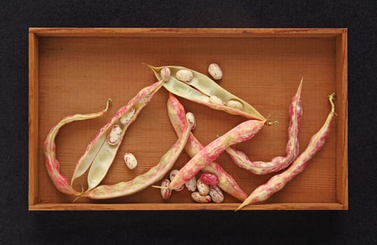 Cranberry beans in and out of their pods in a small wood box with room for text