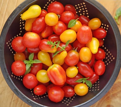 Various shapes and colors of cherry tomatoes from overhead with miniature basil leaves